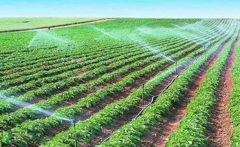 骚搞逼射水农田高 效节水灌溉